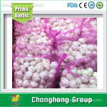 factory hot sale 2016 new crop fresh garlic